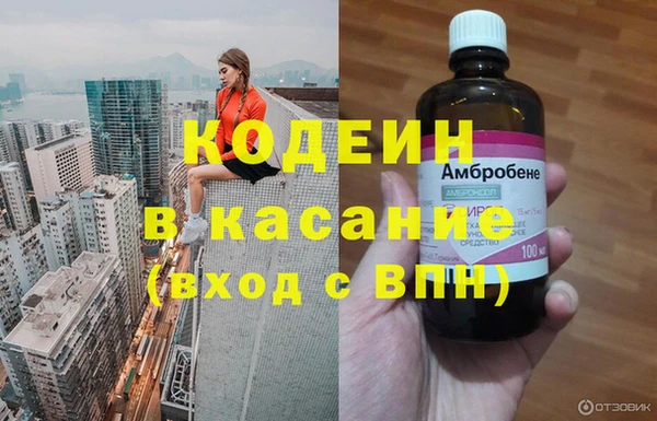 PSILOCYBIN Бородино