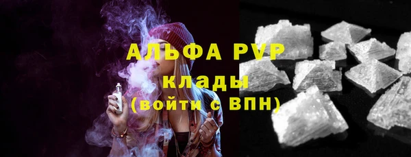 PSILOCYBIN Бородино