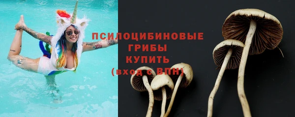 PSILOCYBIN Бородино