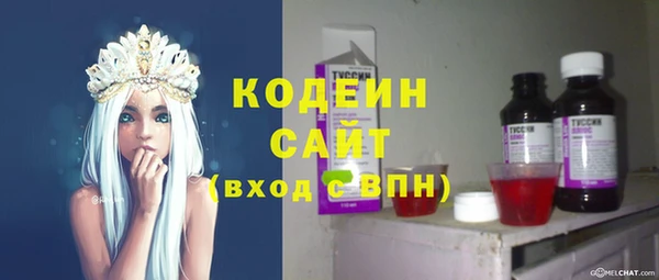 PSILOCYBIN Бородино