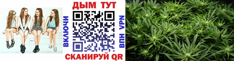 Шишки марихуана семена  Купить где  Саянск 
